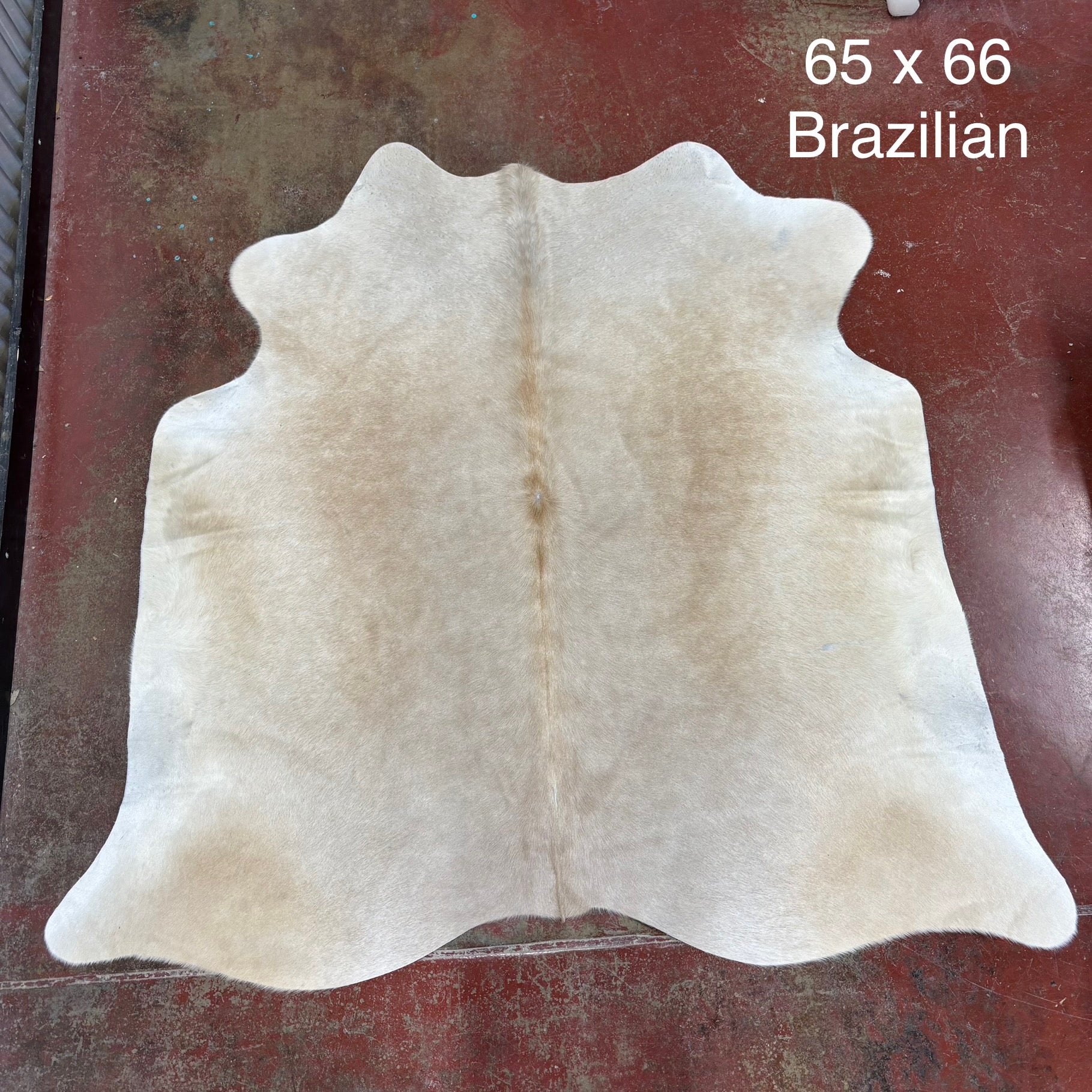 Cowhide Rug - Medium | Reflection Outpost